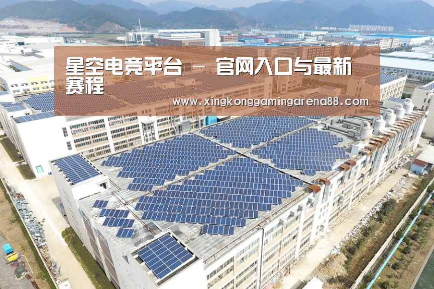 案例展示二