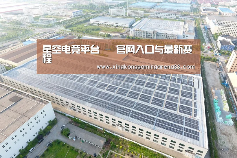 案例展示三