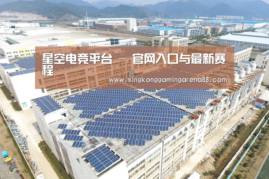案例展示四