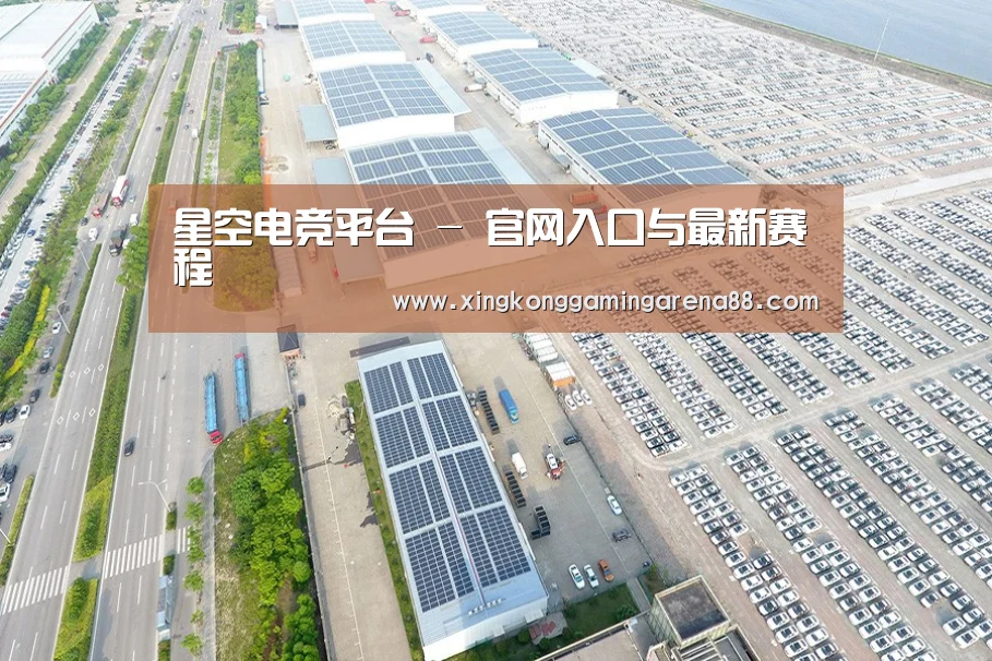案例展示四