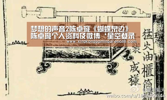 梦想的声音2陈卓璇《蝴蝶泉边》 陈卓璇个人资料及微博‘星空登录’(图2) 星空官网