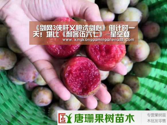 《剑网3侠肝义胆沈剑心》倒计时一天!堪比《刺客伍六七》-星空登录(图3) 星空登录