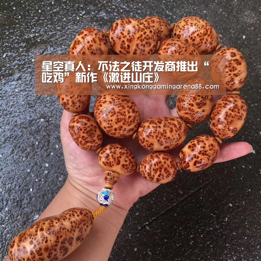 星空真人:不法之徒开发商推出“吃鸡”新作《激进山庄》(图4) 星空登录