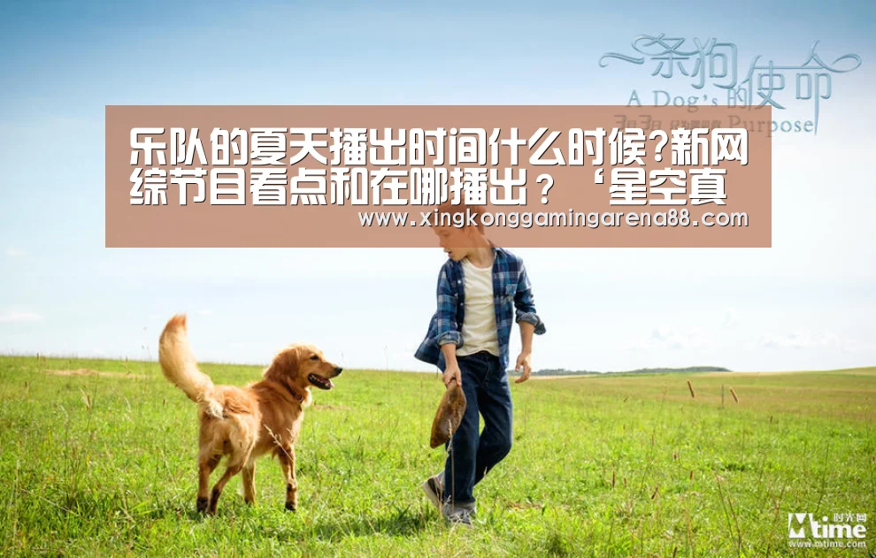 乐队的夏天播出时间什么时候?新网综节目看点和在哪播出?‘星空真人’(图1) 星空真人